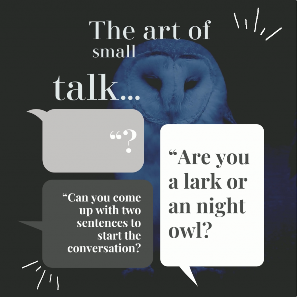 Graphic featuring a centered owl with speech bubbles about small talk, including questions like "Are you a lark or an night owl?" and "Can you come up with two sentences to start the conversation?" surrounded by a dark background with light illustrations.